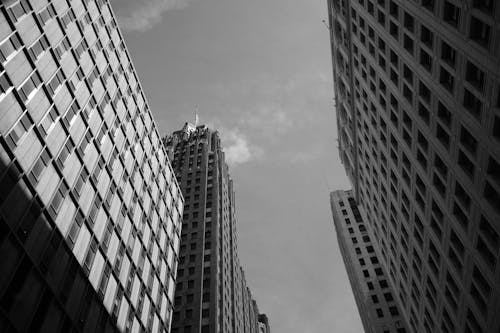 Grayscale Photo of High-rise Buildings