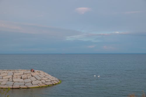 Foto stok gratis bebek, dermaga beton, di luar rumah