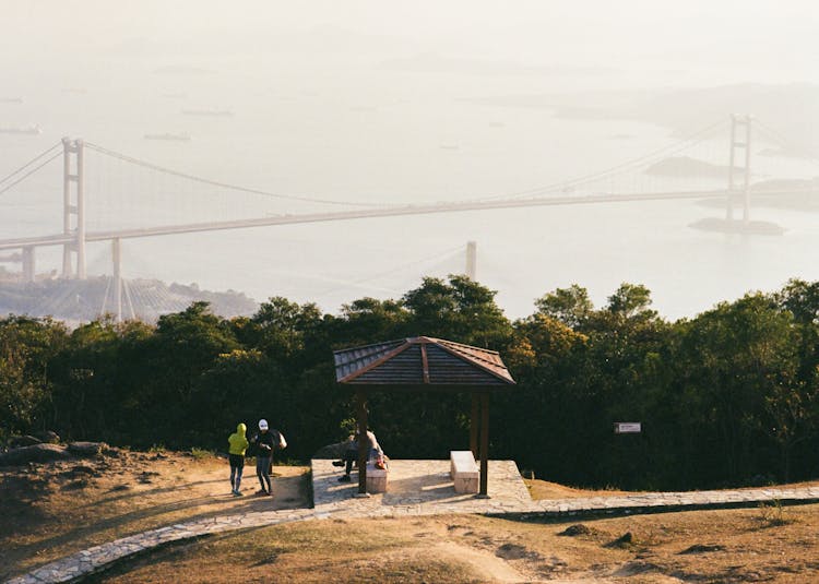 View Of The Tsing Ma Bridge From The Mountain Park