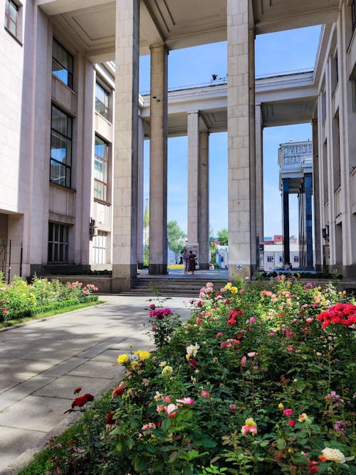 Gratis stockfoto met bloemen, buitenkant van het gebouw, city street