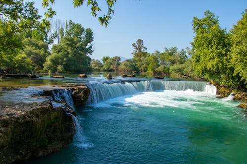 Waterfalls Near Green Trees in the Forest