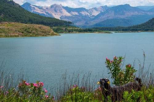 dağlar, doğa, göl içeren Ücretsiz stok fotoğraf