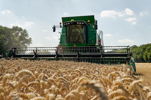 Fotos de stock gratuitas de agricultura, campo, campos de cultivo