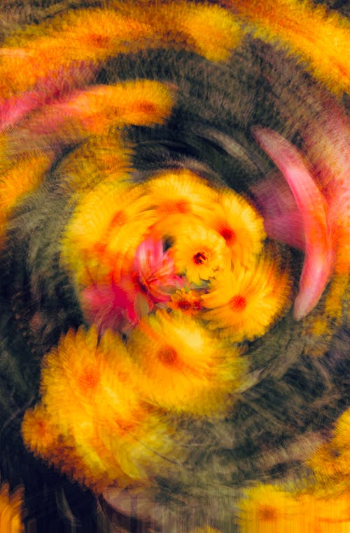 Gratis stockfoto met abstract, bloemen, blurry