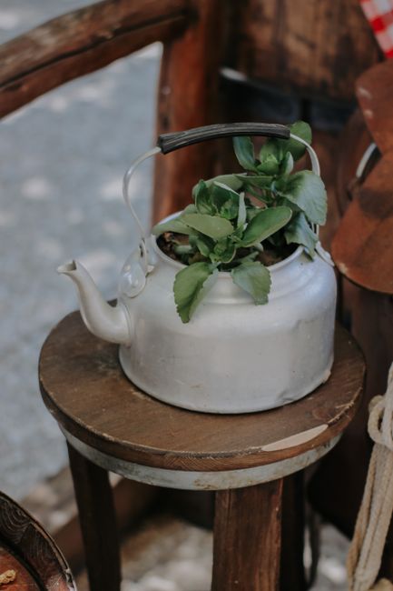 A vintage silver kettle used as a planter with green plants, set on a wooden stool.