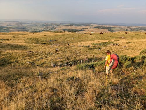 Hiker with Red Backpack Hiking on Meadow