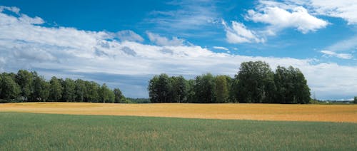 Безкоштовне стокове фото на тему «блакитне небо, зелене поле, панорамний»