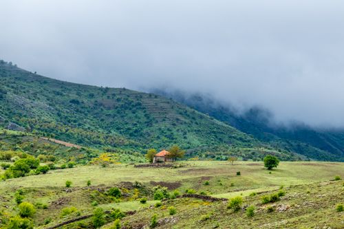 Free A misty rural landscape with a house, green fields, and mountains shrouded in fog. Stock Photo