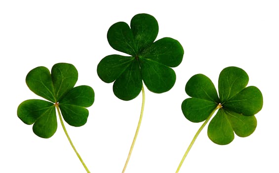 Best marijuana St. Patrick's Day | World of Weed