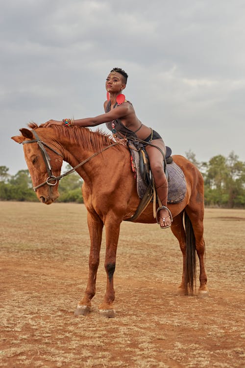 Gratis lagerfoto af afrikansk kvinde, equus, hest