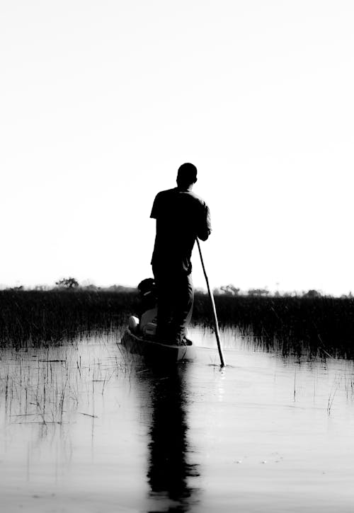 Free stock photo of african, beauty of nature, lagoon