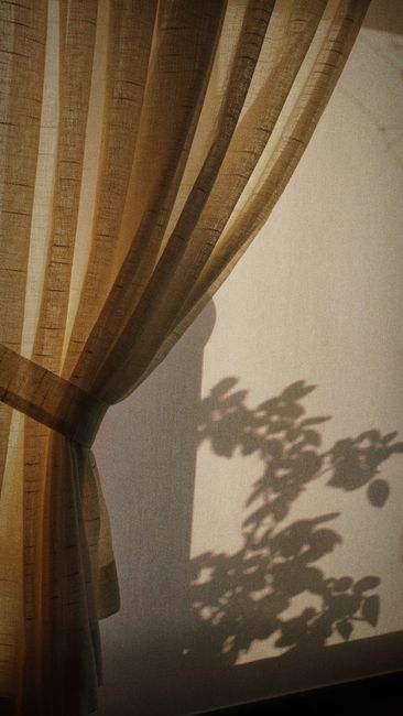 Warm-toned curtain with a plant shadow cast on a sunlit wall, adding depth.