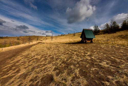 Foto profissional grátis de alojamento, campo de grama, cenário