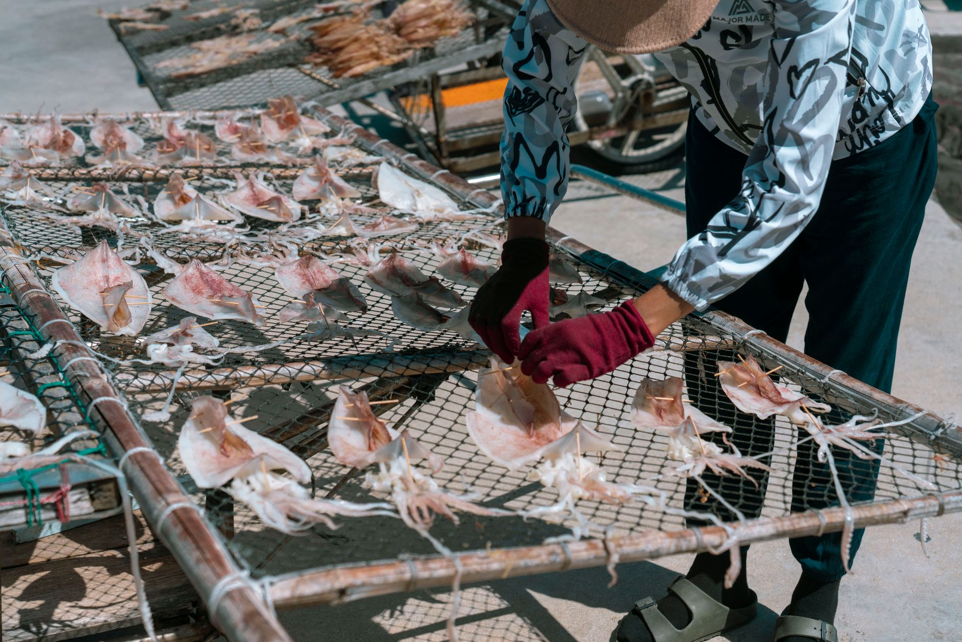 A worker tends to squid drying in the sun on outdoor racks, symbolizing traditional seafood processing.