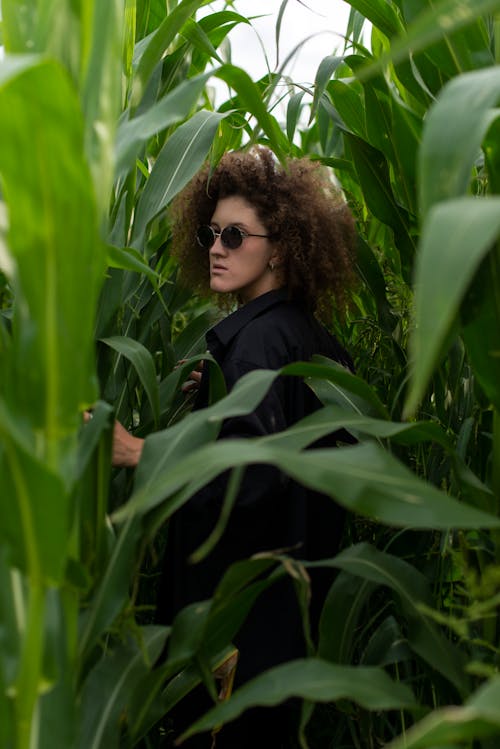 Free Woman Wearing a Black Coat Standing in the Middle of a Corn Field Stock Photo