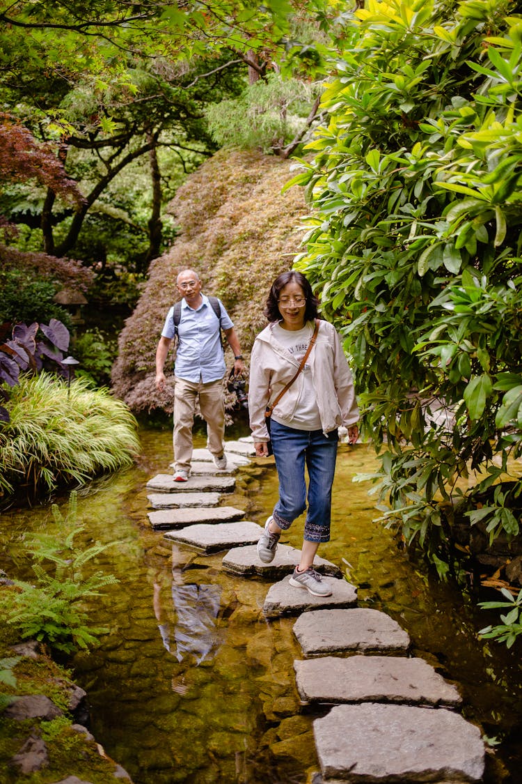 People Walking On Stepping Stones In A Botanic Garden 