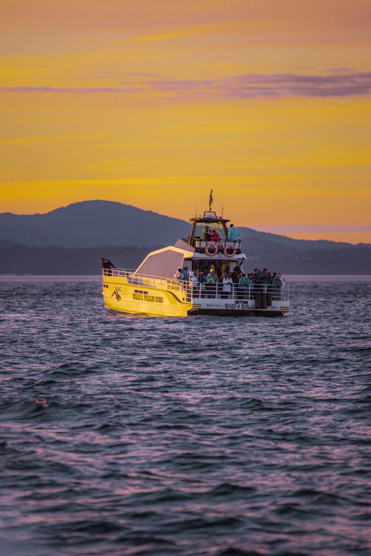 People On Motor Yacht At Sunset