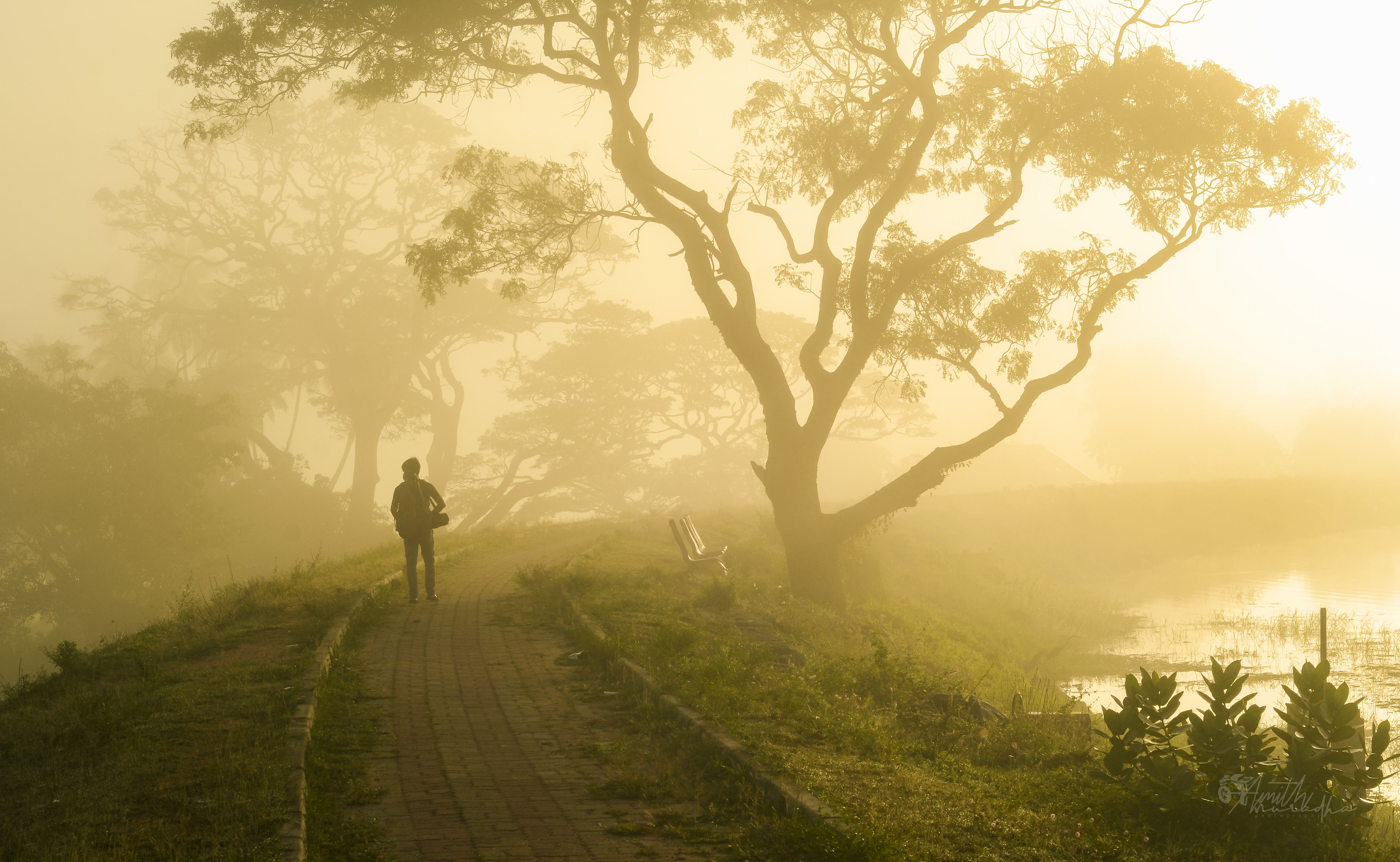 Artwork for Breaking Free from Conditioning: Reclaiming Your Life with Arnold Beekes