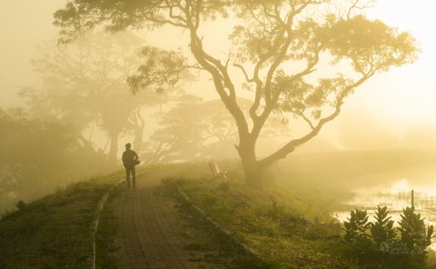 Artwork for Breaking Free from Conditioning: Reclaiming Your Life with Arnold Beekes