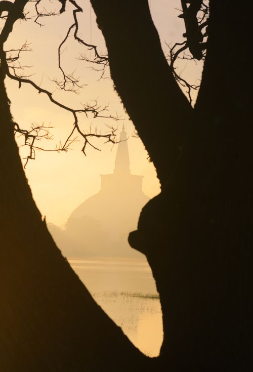 Free A hazy temple silhouette framed by tree branches in a serene misty landscape at dawn. Stock Photo