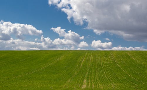 Foto profissional grátis de área, colina, cultivo