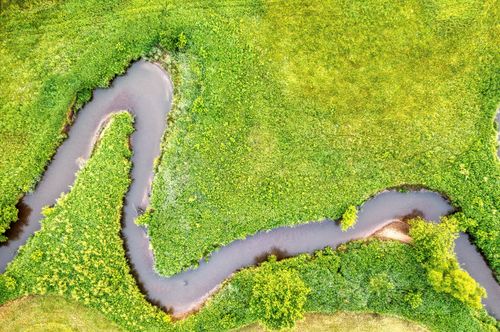 Free Capture of a winding river through vibrant green meadows and landscapes, showcasing natural beauty. Stock Photo