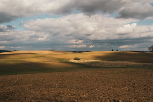 Brown Field Under Cloudy Sky