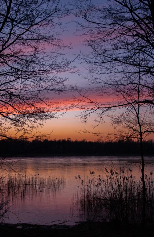Free Beautiful twilight scene with bare trees framing a serene lake, under a colorful sky. Stock Photo