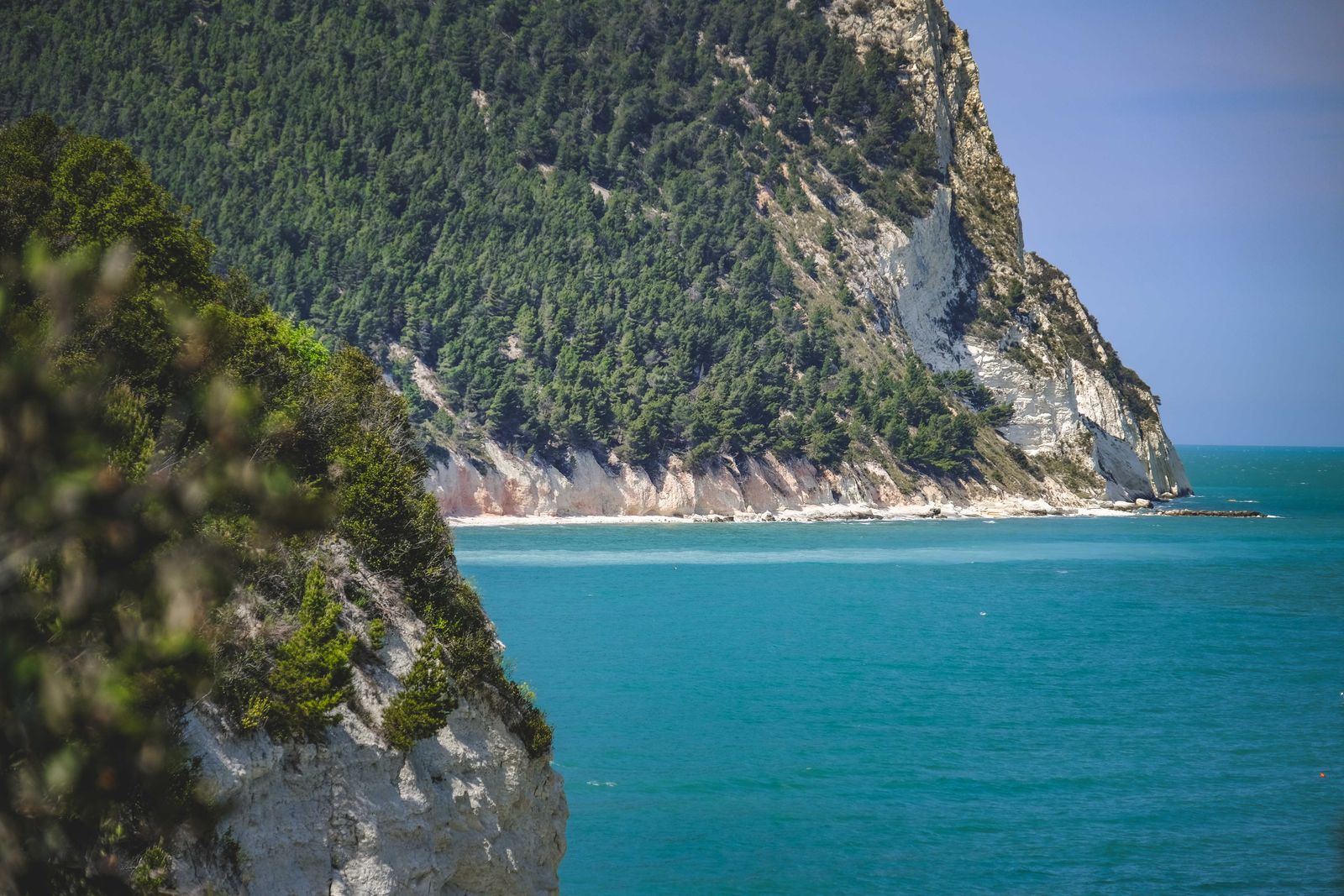Le acque turchesi e le falesie verdi del Monte Conero