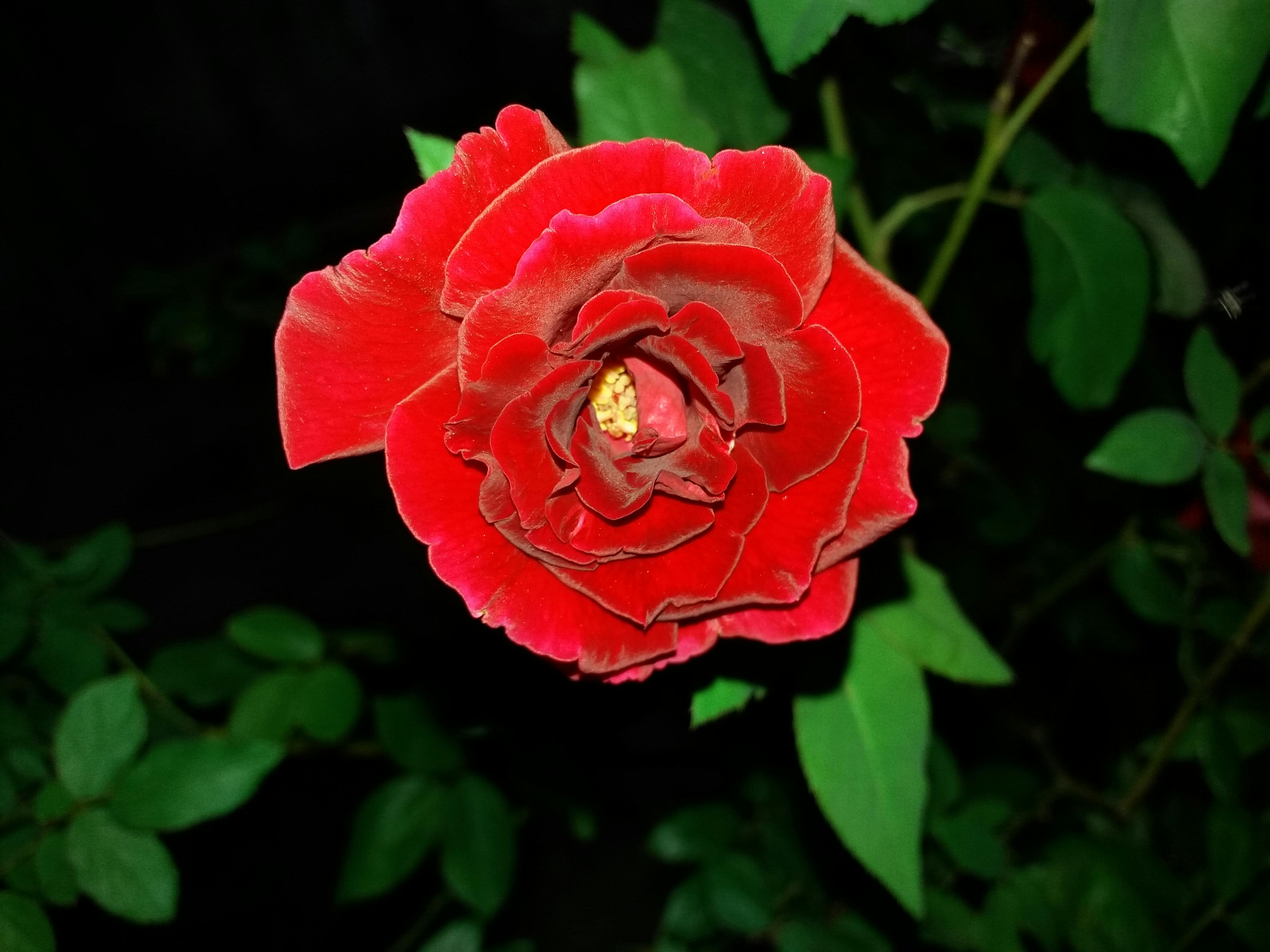 Golfer hitting a drive under stadium lights