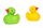 rubber duck