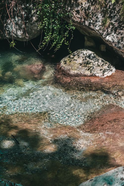 Free A peaceful clear stream flows over rocks surrounded by lush flora. Stock Photo