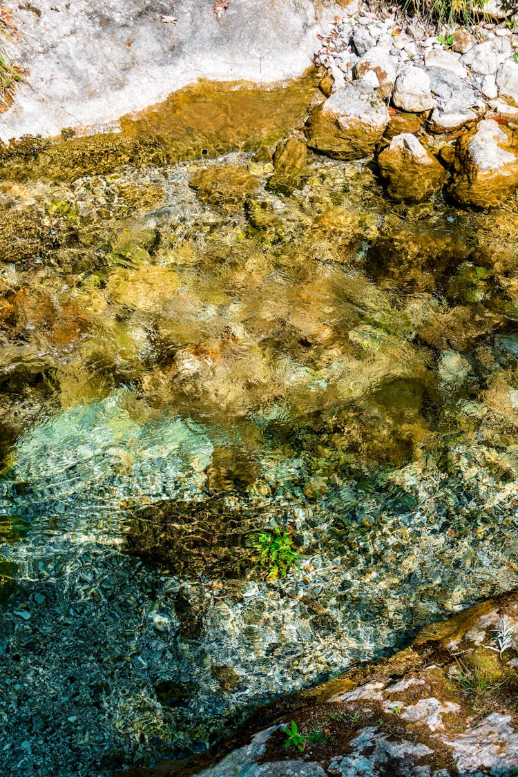 Photo Of A River Bed