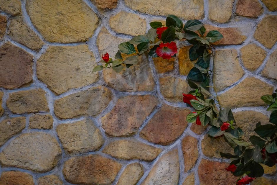 Rustieke baksteen omringd door vrolijke zomerplanten. Rustieke baksteen omringd door vrolijke zomerplanten.
