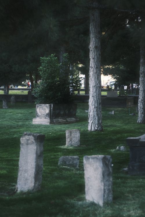 Free Serene cemetery scene featuring gravestones, trees, and lush summer greenery. Stock Photo