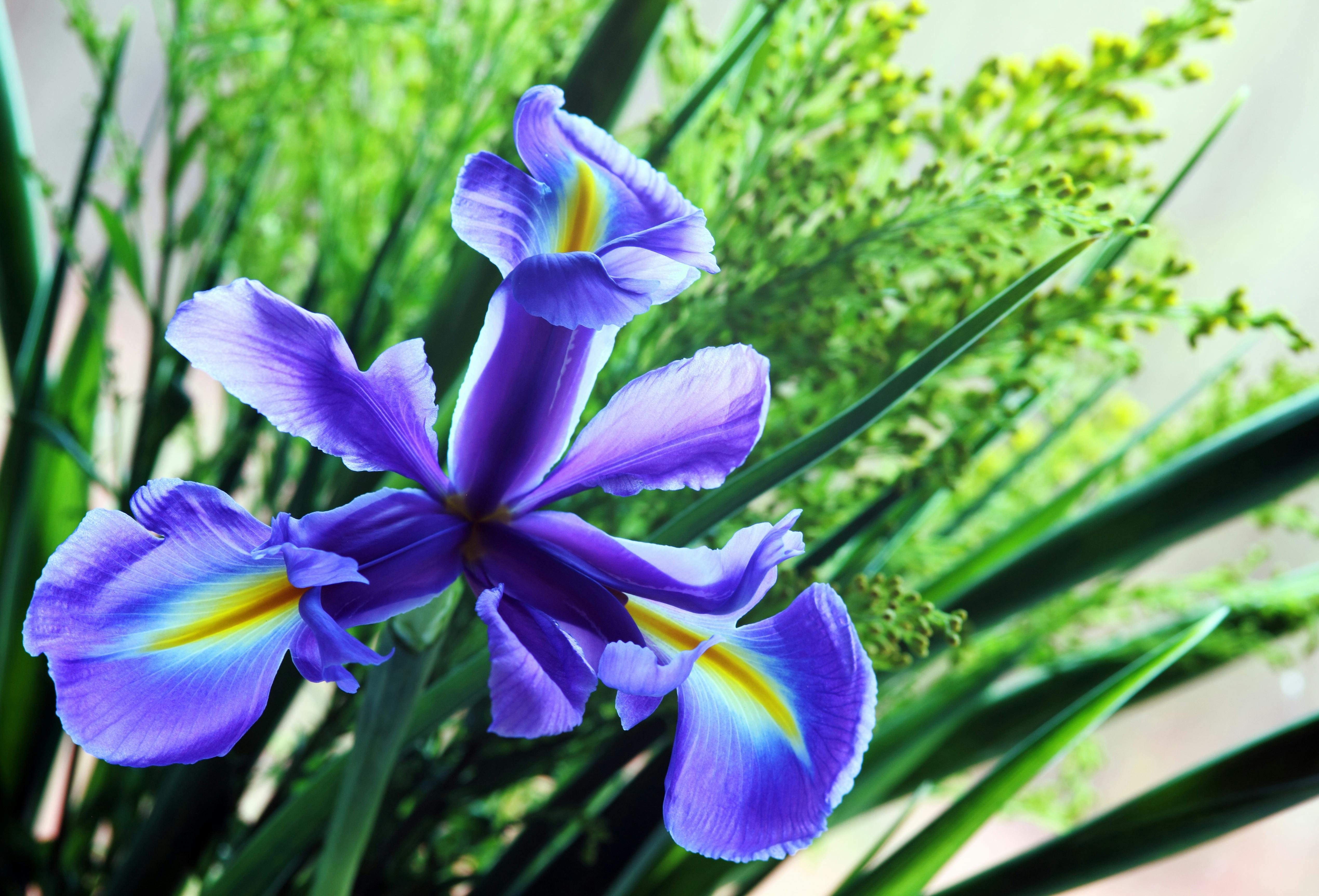 gardening with creekside