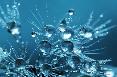 Free Clear Water Drops Stock Photo