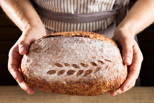 Free Person Holding Loaf of Bread Stock Photo