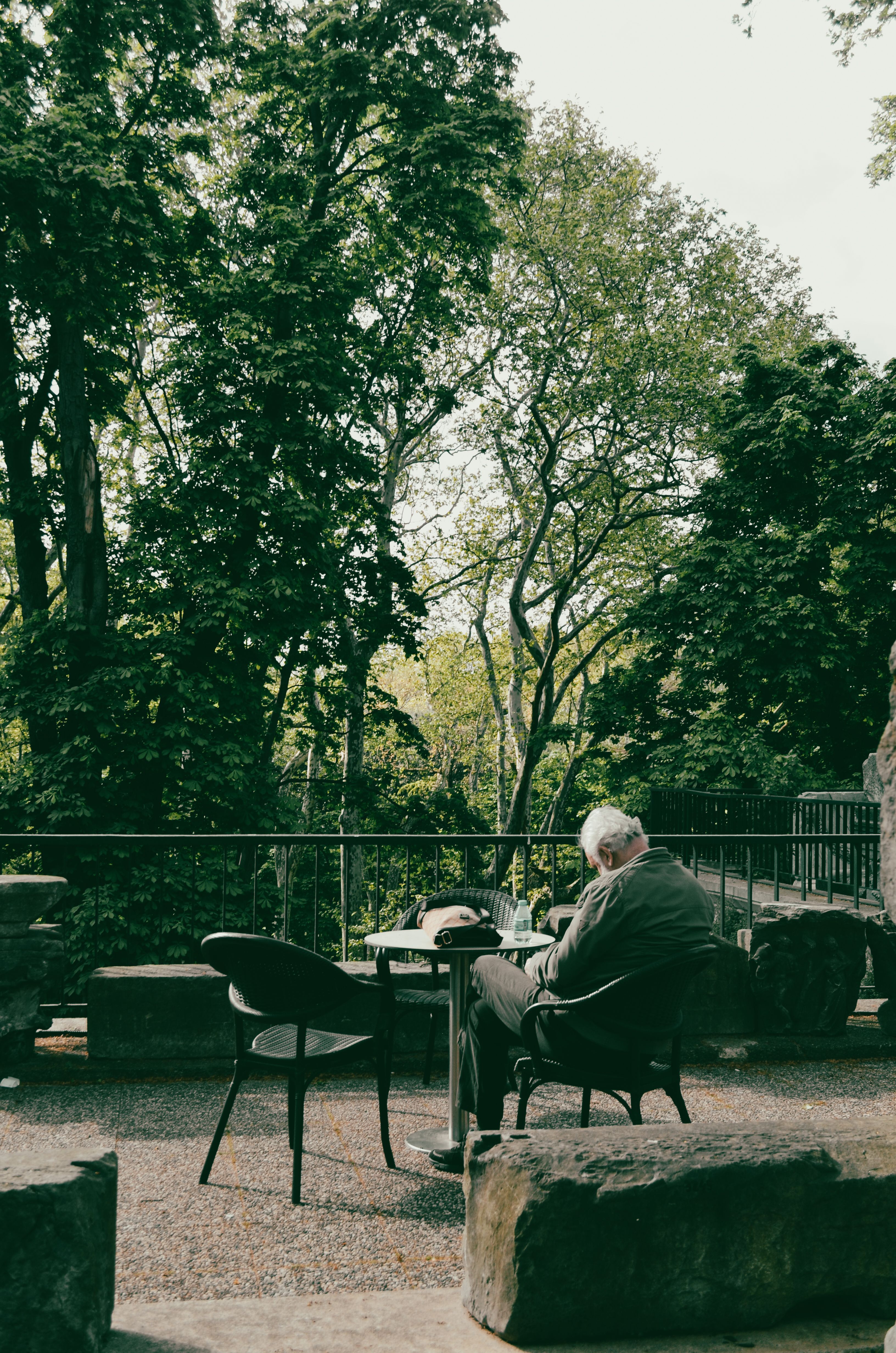 Elderly man relaxing and reading in a serene İstanbul park setting.
