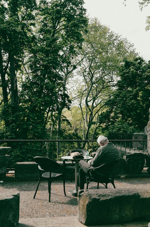 공원, 남자, 노인의 무료 스톡 사진
