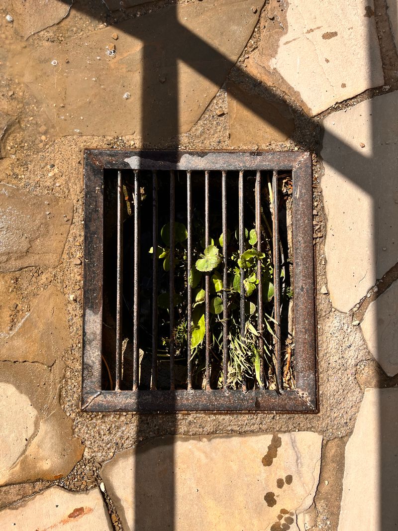 Outdoor drain grate on stone paving