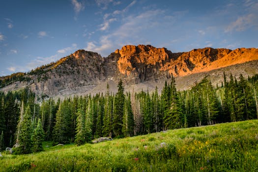 Scenic sunrise view of forested mountain landscape in Alta, Utah, showcasing vibrant natural beauty.