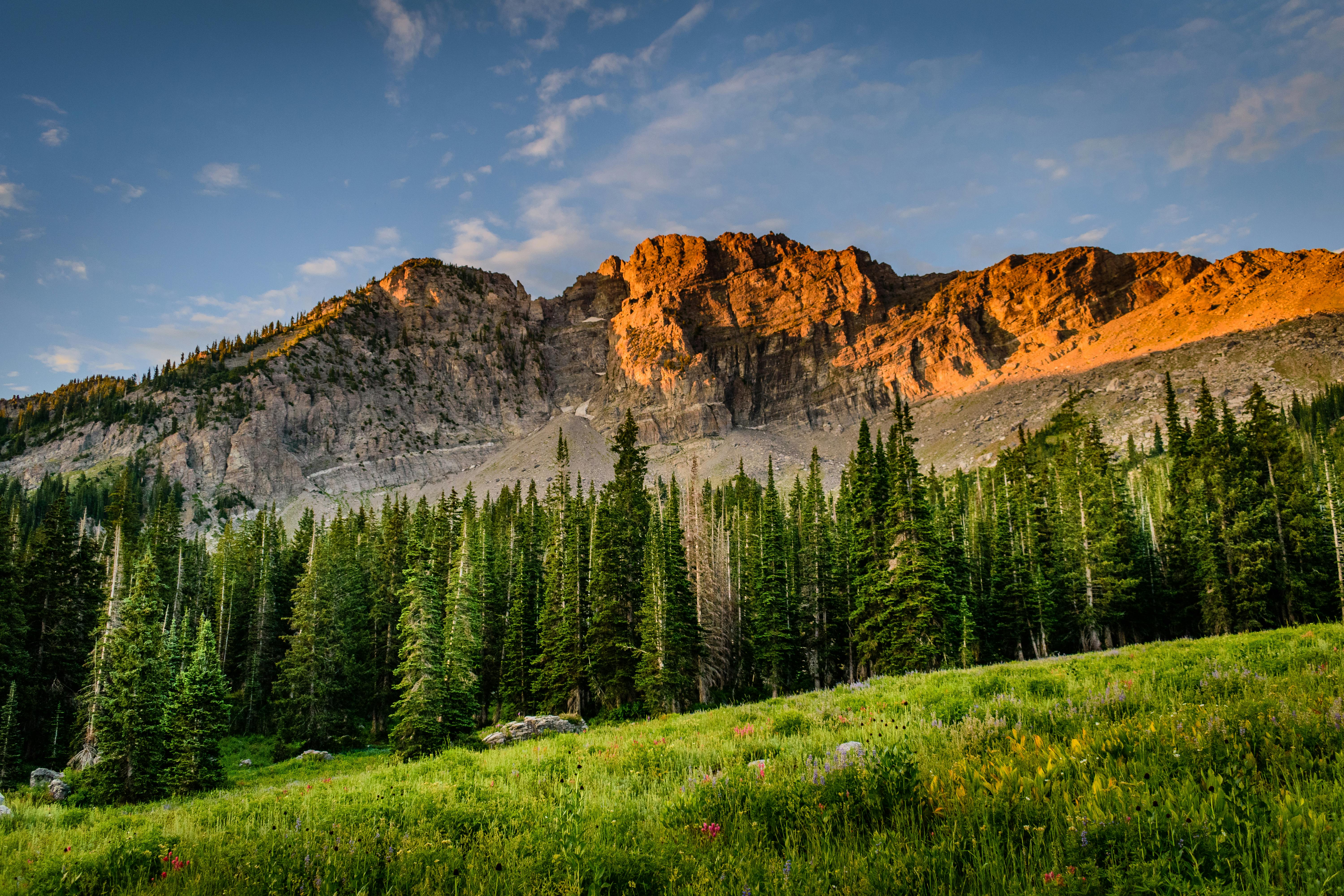 Large Mountain Background