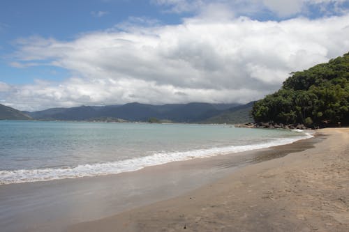 Beach under the Cloudy Sky