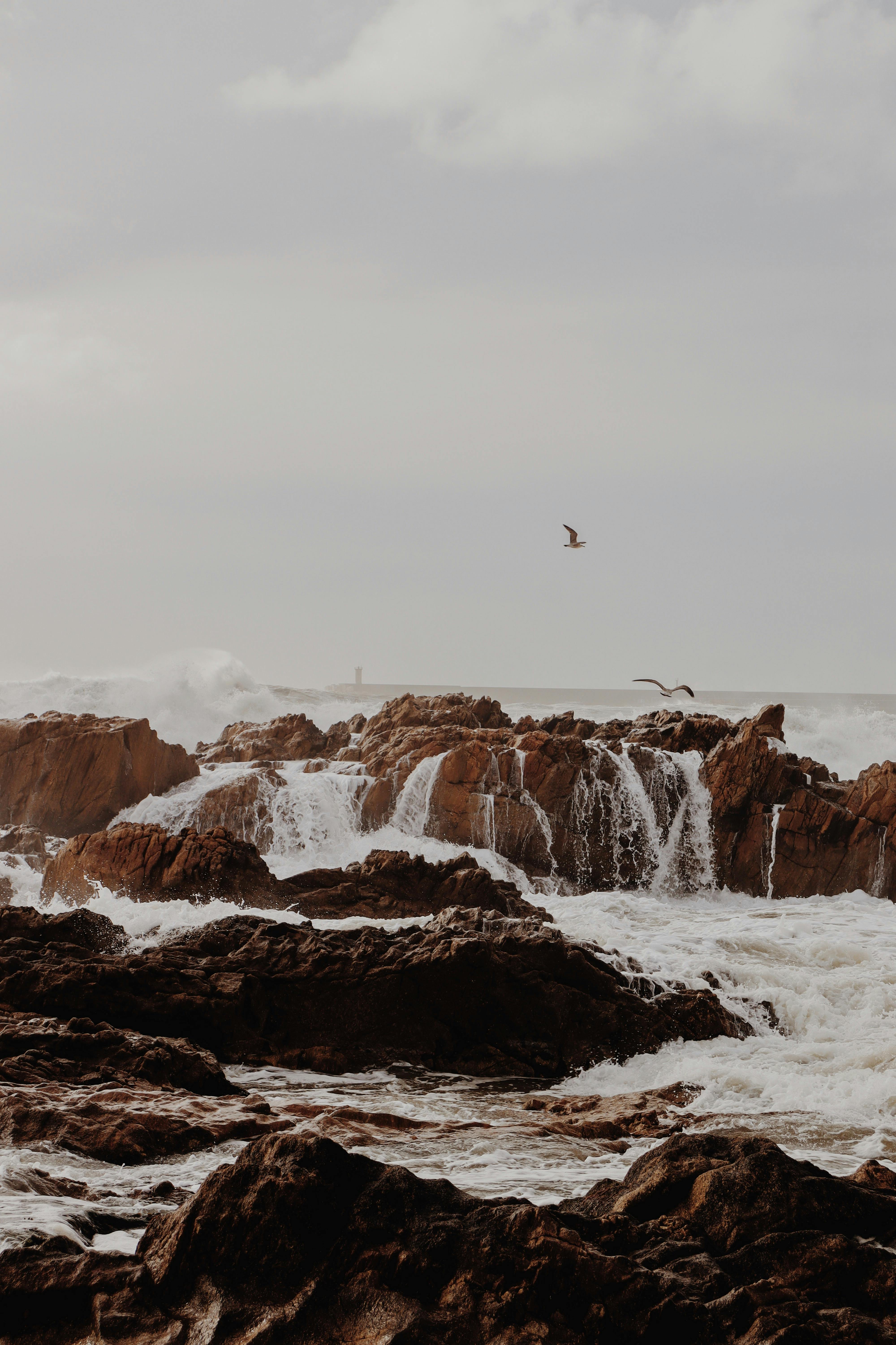 Capture of a rocky shoreline with crashing waves and flying birds in Porto, Portugal. A moody nature scene.