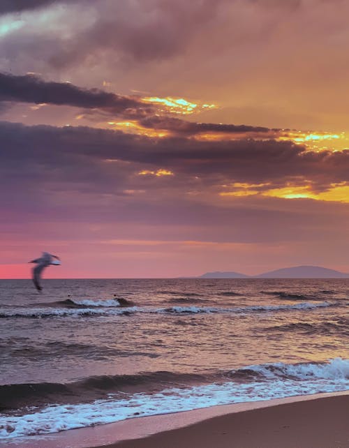 Free stock photo of adriatic sea, albania, at the beach