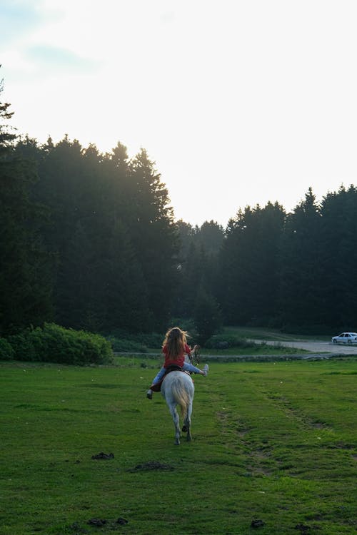 A Woman Riding White Horse on Green Grass Field