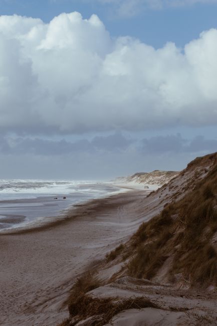 Explore the serene sandy beach of Denmark under a dramatic sky. Perfect for travel enthusiasts.