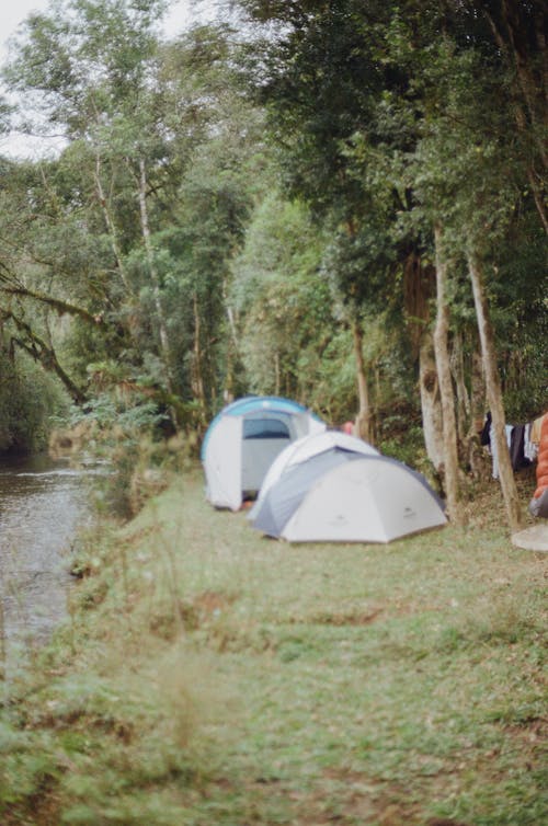 Foto d'estoc gratuïta de acampant, acampar, aigua del riu