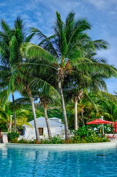 Palm trees by the pool at a luxury resort in Sint Maarten, perfect for a tropical getaway.
